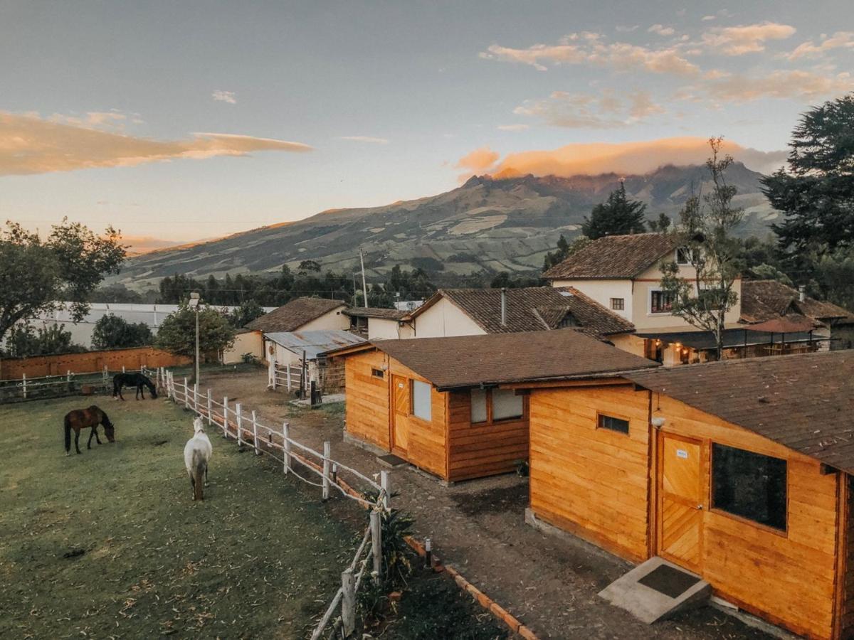 Hosteria Papagayo Cotopaxi Machachi المظهر الخارجي الصورة